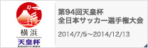 第94回天皇杯全日本サッカー選手権大会