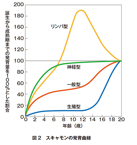 戦うための身体づくり