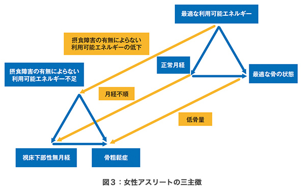 戦うための身体づくり