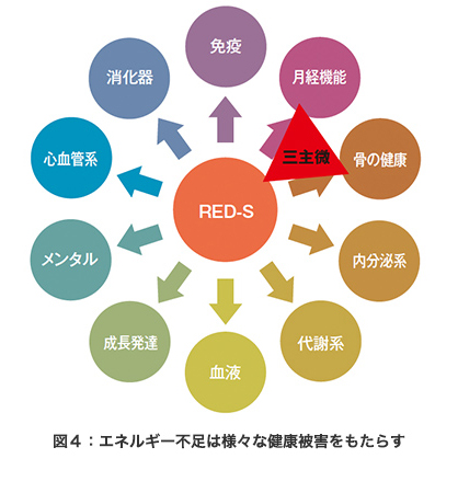 戦うための身体づくり