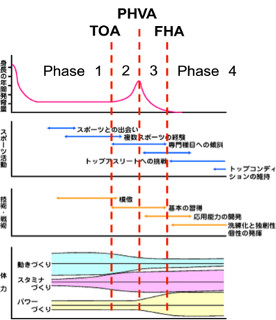 ⑤成長期のトレーニング