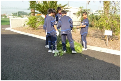 u090625-09.png