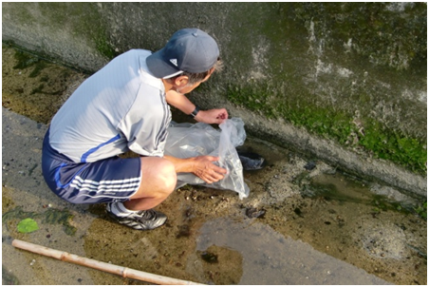 u090706-02.png