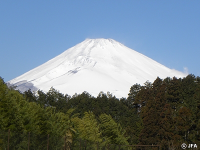 U-17日本女子代表　トレーニングマッチ