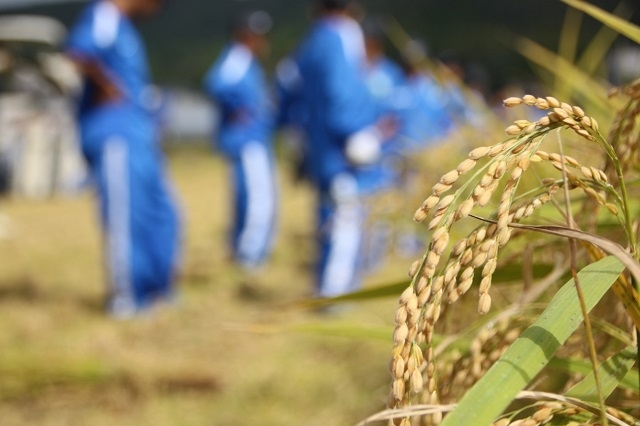 近況報告②　～JFAアカデミー熊本宇城 ダイアリー～