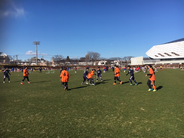 JFAレディース／ガールズサッカーフェスティバル 東京都調布市の味の素スタジアム西競技場に、1302人が参加！