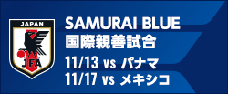 国際親善試合 [11/13,11/17]