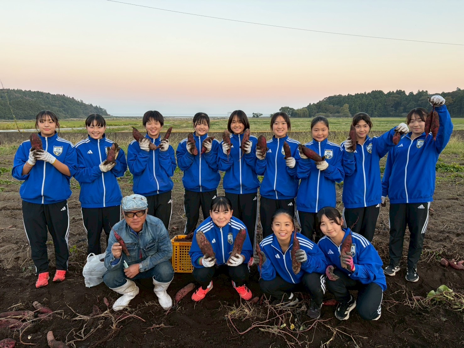 中学生　さつまいも掘り