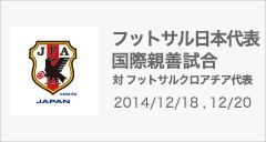 国際親善試合