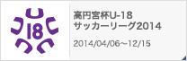 高円宮杯U-18サッカーリーグ2014