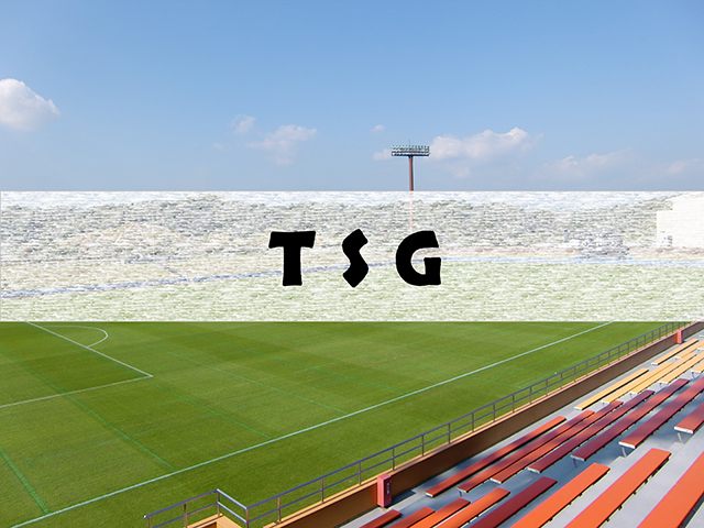 TSG