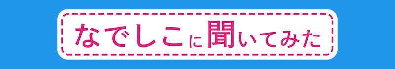 なでしこに聞いてみた（別ウィンドウで開く）