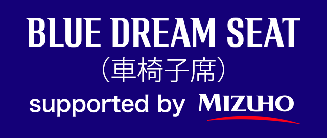 BLUE DREAM SEAT（車椅子席）supported by MIZUHO（別ウィンドウで開く）